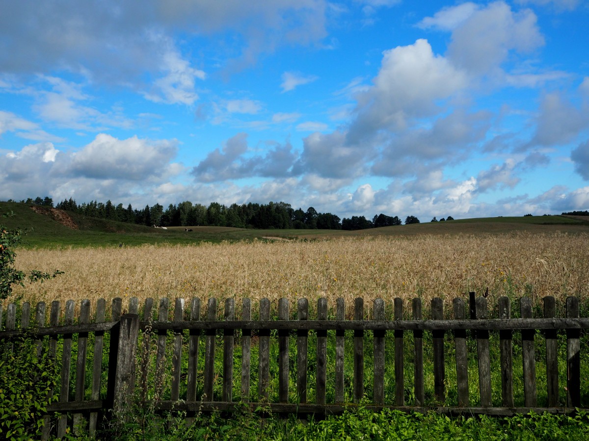 Zdjęcia: Postawelek, Suwalszczyzna, Sielsko...., POLSKA Zdjęcia: Postawelek, Suwalszczyzna, Sielsko...., POLSKA