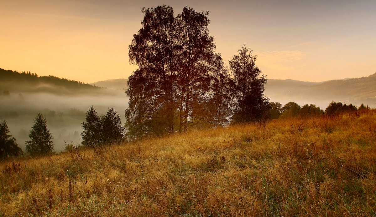 Zdjęcia: Wisła, Beskid Śląski, Krajobraz Beskidu Śląskiego., POLSKA Zdjęcia: Wisła, Beskid Śląski, Krajobraz Beskidu Śląskiego., POLSKA