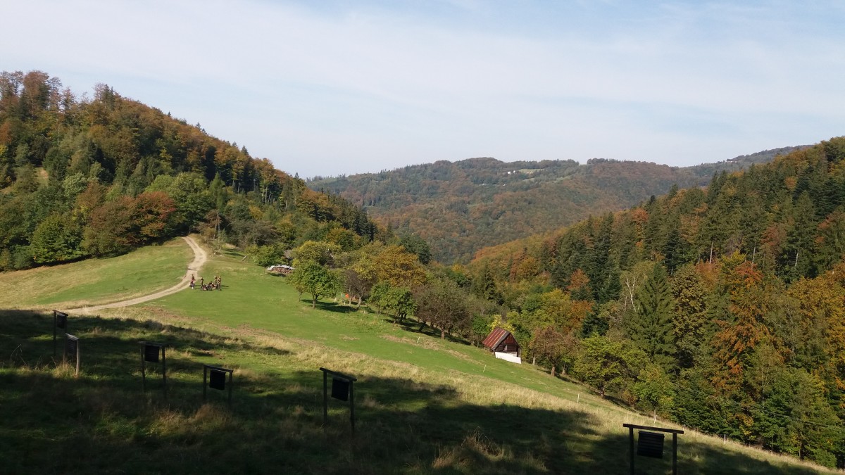 Zdjęcia: Na szlaku z Orłowej na Równicę, Beskid Śląski, JESIEŃ, POLSKA Zdjęcia: Na szlaku z Orłowej na Równicę, Beskid Śląski, JESIEŃ, POLSKA