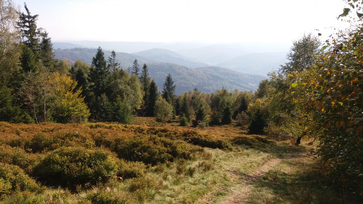 Zdjęcia: Widok na Beskidy  z  Równicy, Beskid Śląski, JESIEŃ, POLSKA Zdjęcia: Widok na Beskidy  z  Równicy, Beskid Śląski, JESIEŃ, POLSKA