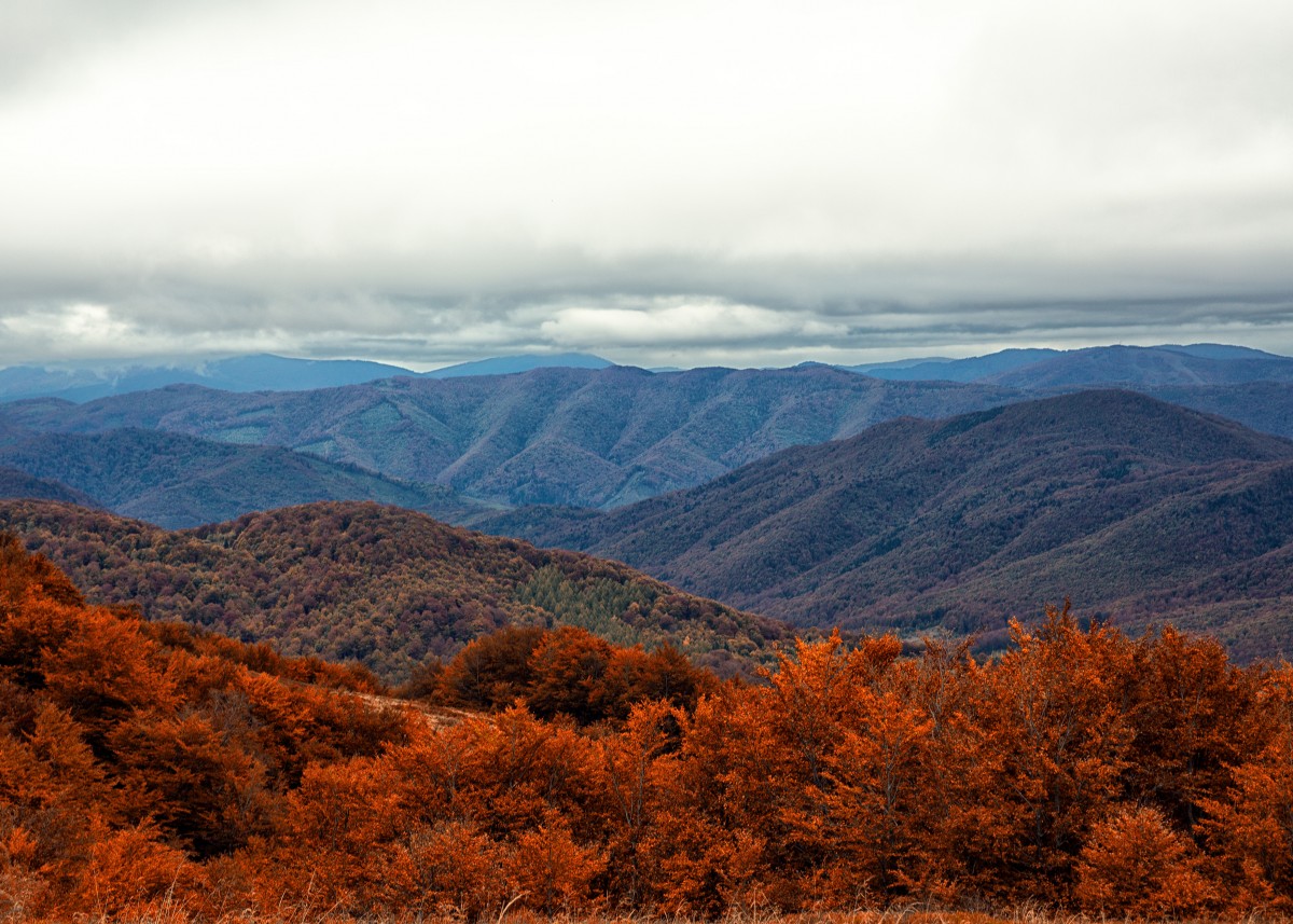 Zdjęcia: Bieszczady, Bieszczady, Jesień w Bieszczadach, POLSKA Zdjęcia: Bieszczady, Bieszczady, Jesień w Bieszczadach, POLSKA