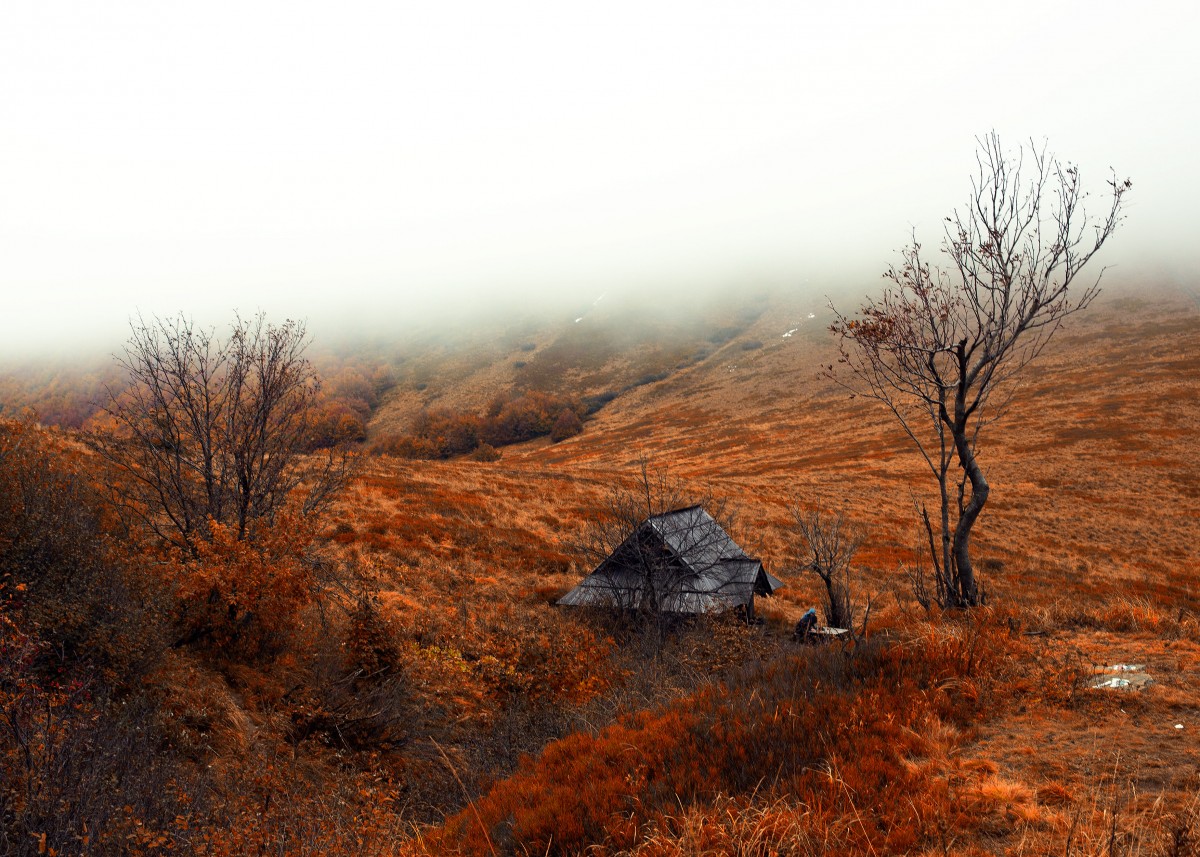 Zdjęcia: Bieszczady, Bieszczady, Bieszczadzka chatka...i mgła, POLSKA Zdjęcia: Bieszczady, Bieszczady, Bieszczadzka chatka...i mgła, POLSKA