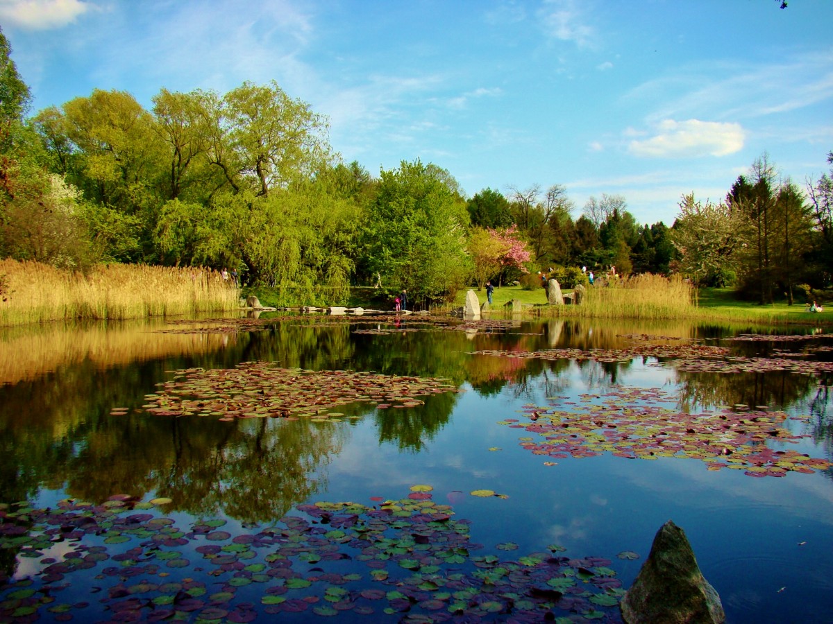 Zdjęcia: Łódź, województwo łódzkie, Łódź-Ogród Botaniczny, POLSKA Zdjęcia: Łódź, województwo łódzkie, Łódź-Ogród Botaniczny, POLSKA