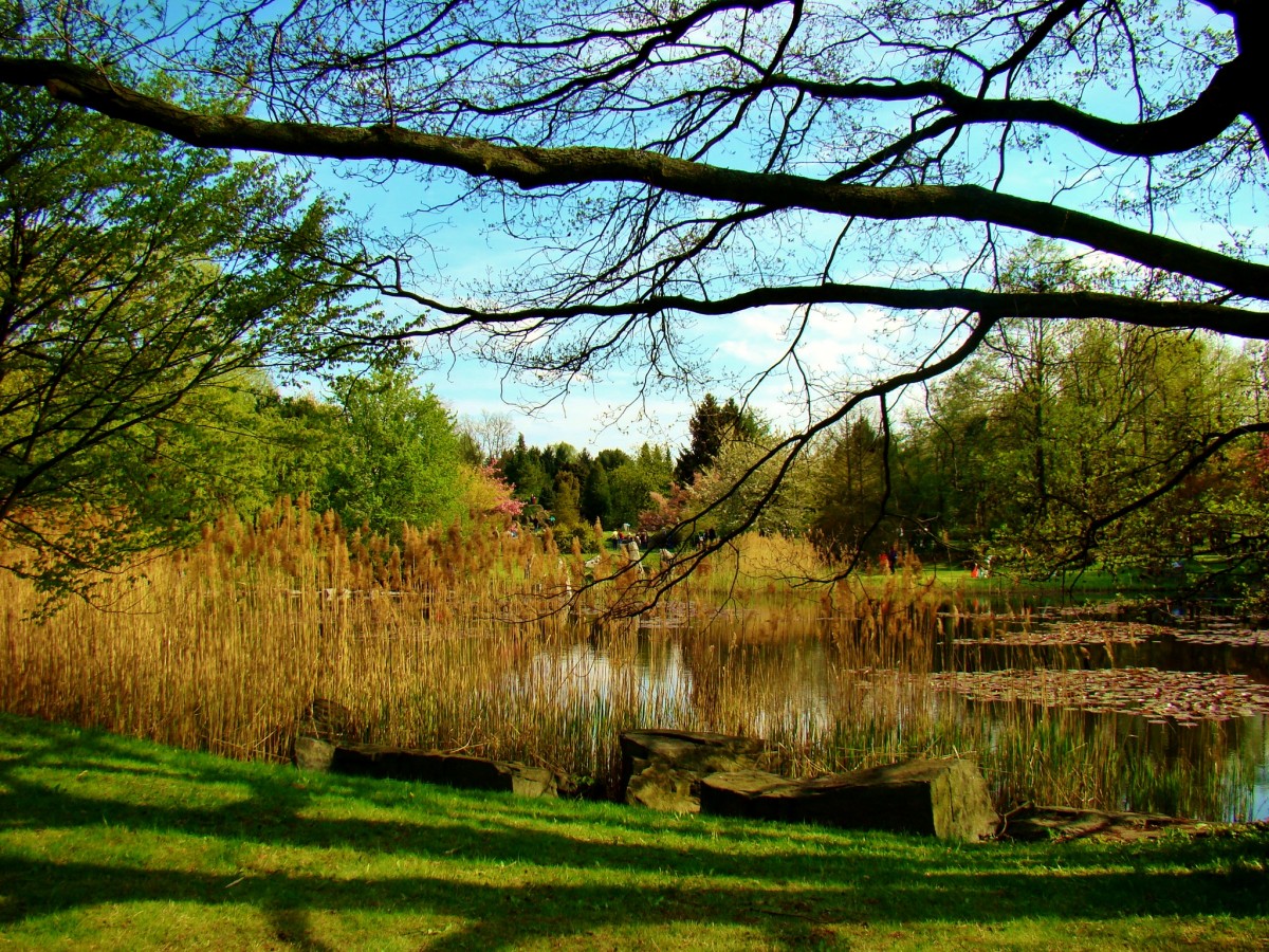 Zdjęcia: Łódź, województwo łódzkie, Łódź-Ogród Botaniczny, POLSKA Zdjęcia: Łódź, województwo łódzkie, Łódź-Ogród Botaniczny, POLSKA