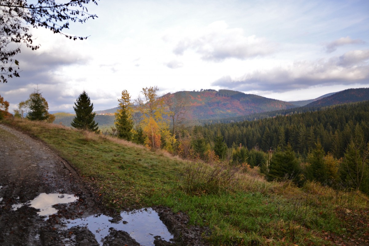 Zdjęcia: Pod Rycerzową, Beskid Żywiecki, Krajobraz z kałużą, POLSKA Zdjęcia: Pod Rycerzową, Beskid Żywiecki, Krajobraz z kałużą, POLSKA