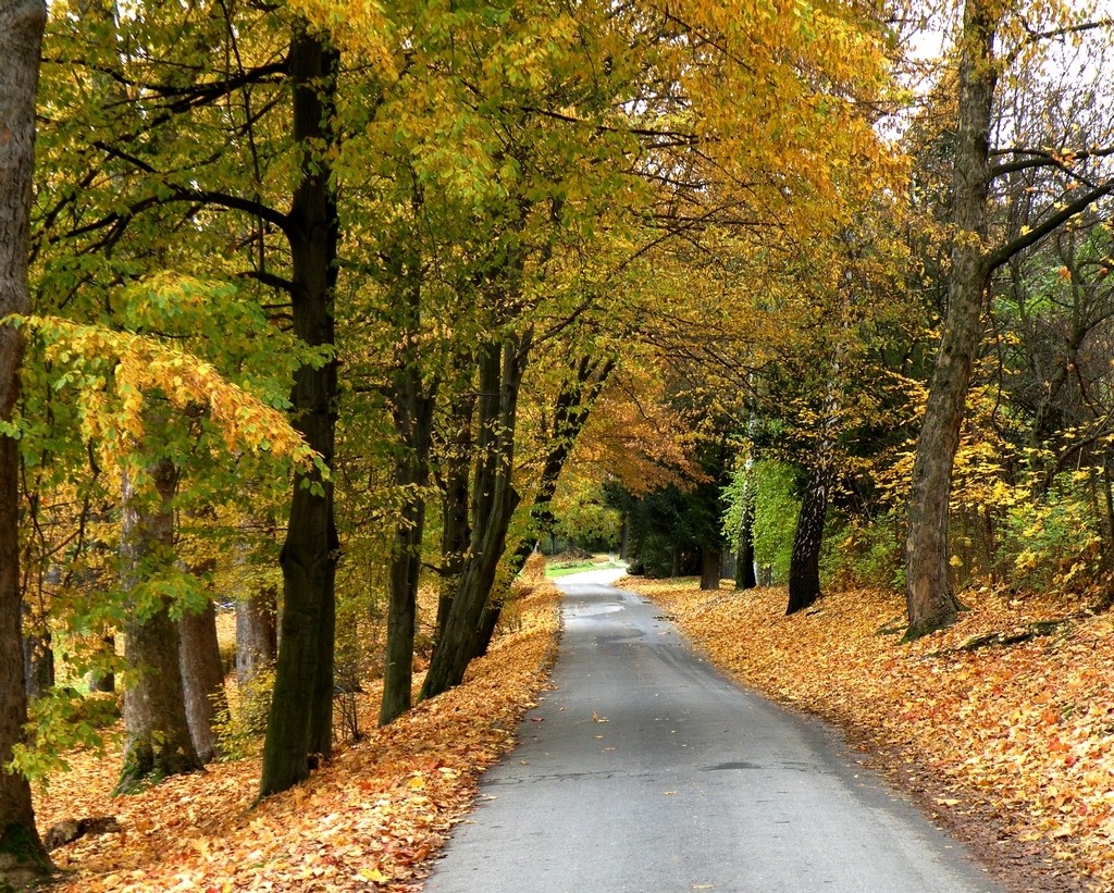 Zdjęcia: Lądek Zdrój, dolnośląskie, Aleja parkowa., POLSKA Zdjęcia: Lądek Zdrój, dolnośląskie, Aleja parkowa., POLSKA