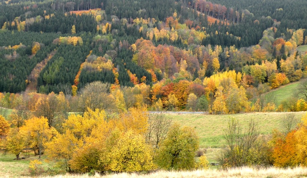 Zdjęcia: Lutynia, dolnośląskie, Wzgórza nad Lutynią, w jesiennej szacie, POLSKA Zdjęcia: Lutynia, dolnośląskie, Wzgórza nad Lutynią, w jesiennej szacie, POLSKA
