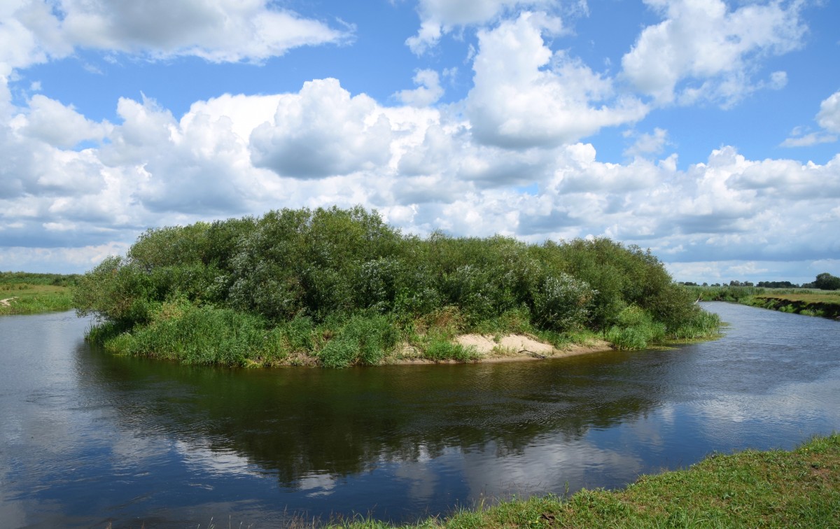Zdjęcia: Okolice Białego Grądu, Biebrzański Park Narodowy, Zakola rzeki, POLSKA Zdjęcia: Okolice Białego Grądu, Biebrzański Park Narodowy, Zakola rzeki, POLSKA