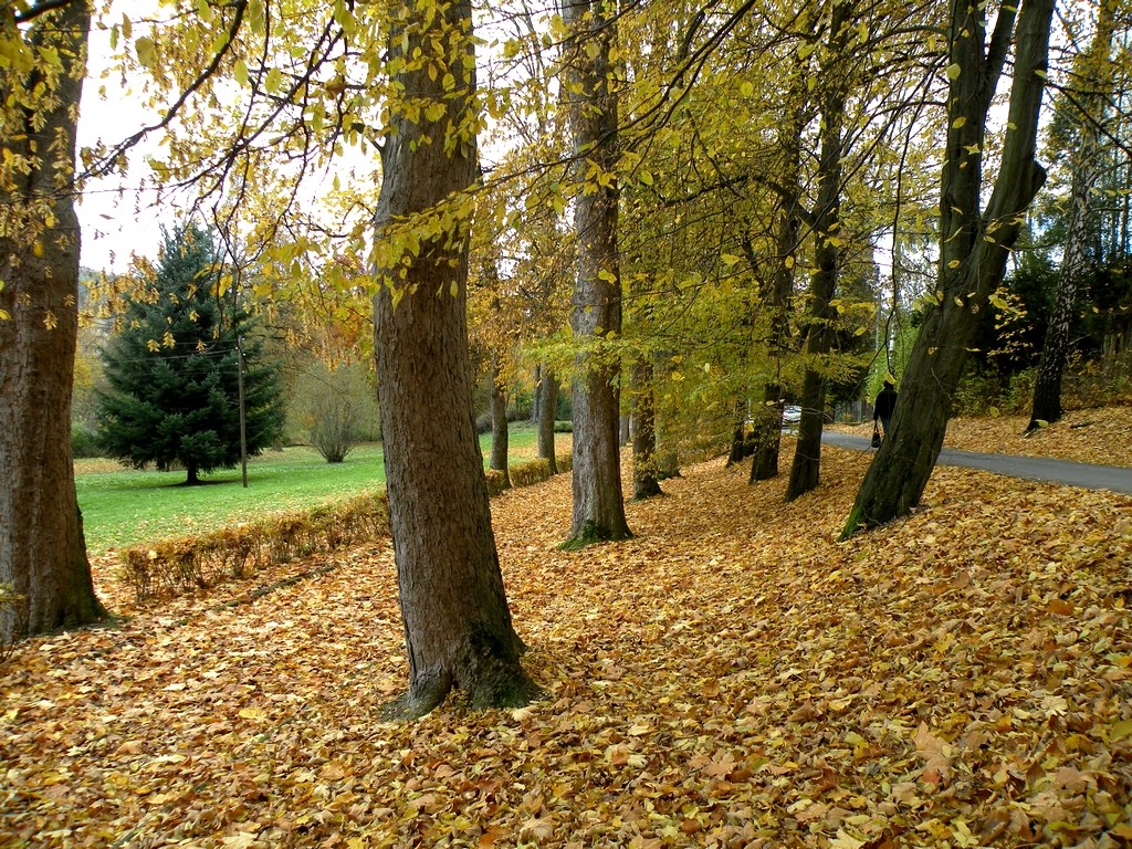 Zdjęcia: Lądek Zdrój, dolnoślaskie, Jesień idzie przez park, POLSKA Zdjęcia: Lądek Zdrój, dolnoślaskie, Jesień idzie przez park, POLSKA