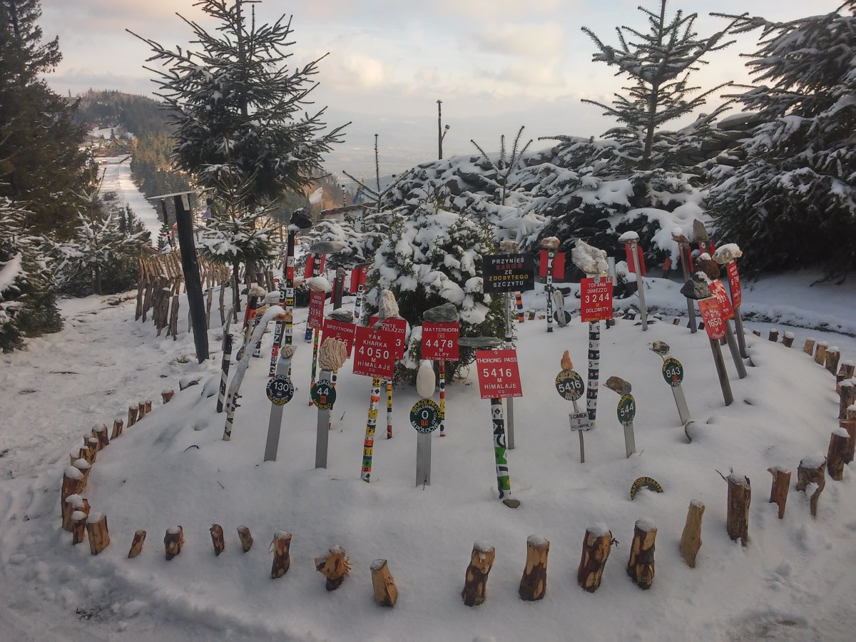 Zdjęcia: Klimczok, beskid żywiecki, Kamienie ze szczytów Gór, POLSKA Zdjęcia: Klimczok, beskid żywiecki, Kamienie ze szczytów Gór, POLSKA