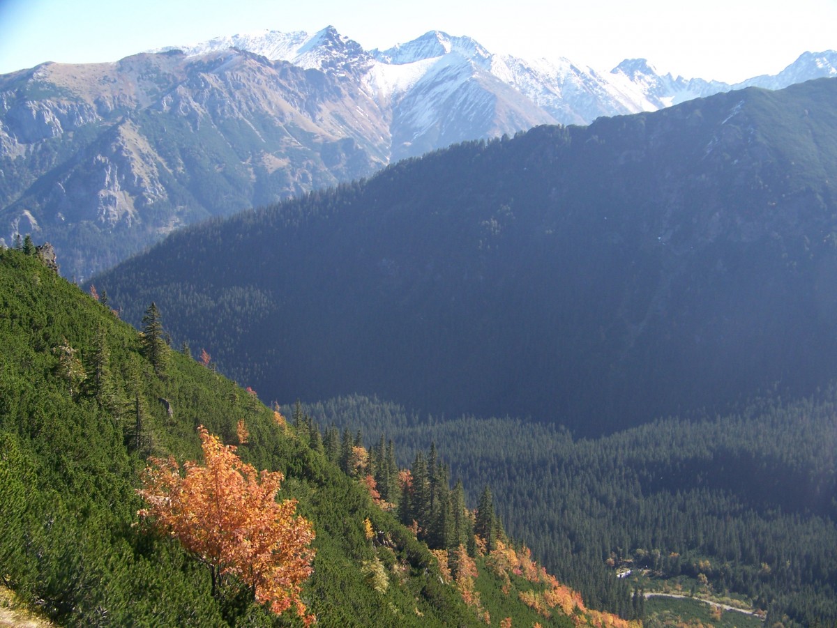 Zdjęcia: Tatry, Tatry, Wrzesień w Tatrach, POLSKA Zdjęcia: Tatry, Tatry, Wrzesień w Tatrach, POLSKA