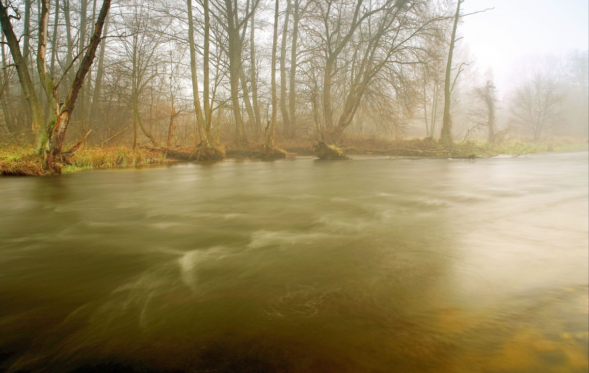 Zdjęcia: Dolina Brdy, Bory Tucholskie, Cały czas mgła!, POLSKA Zdjęcia: Dolina Brdy, Bory Tucholskie, Cały czas mgła!, POLSKA