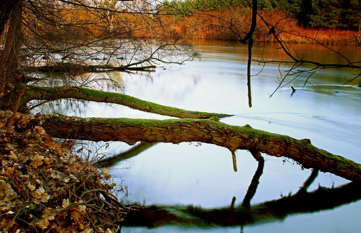 Zdjęcia: Dolina Brdy, Bory Tucholskie, W korycie rzeki, POLSKA Zdjęcia: Dolina Brdy, Bory Tucholskie, W korycie rzeki, POLSKA
