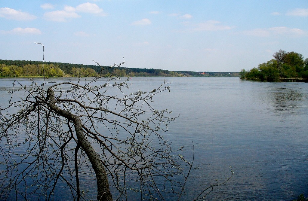 Zdjęcia: Słońsk Dolny, kujawsko pomorskie, Widok na Wisłę, POLSKA Zdjęcia: Słońsk Dolny, kujawsko pomorskie, Widok na Wisłę, POLSKA