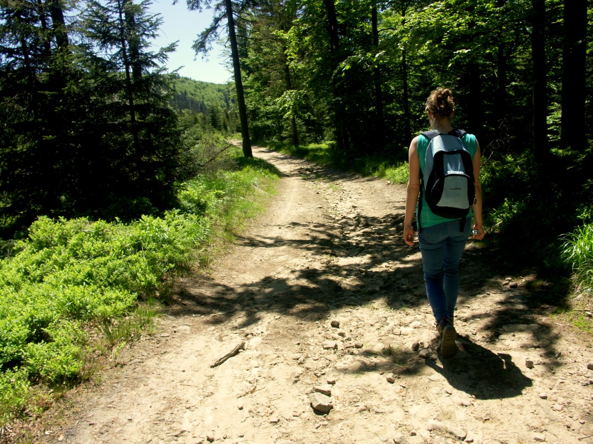 Zdjęcia: Błatnia, Beskid Śląski, Na szlaku, POLSKA Zdjęcia: Błatnia, Beskid Śląski, Na szlaku, POLSKA