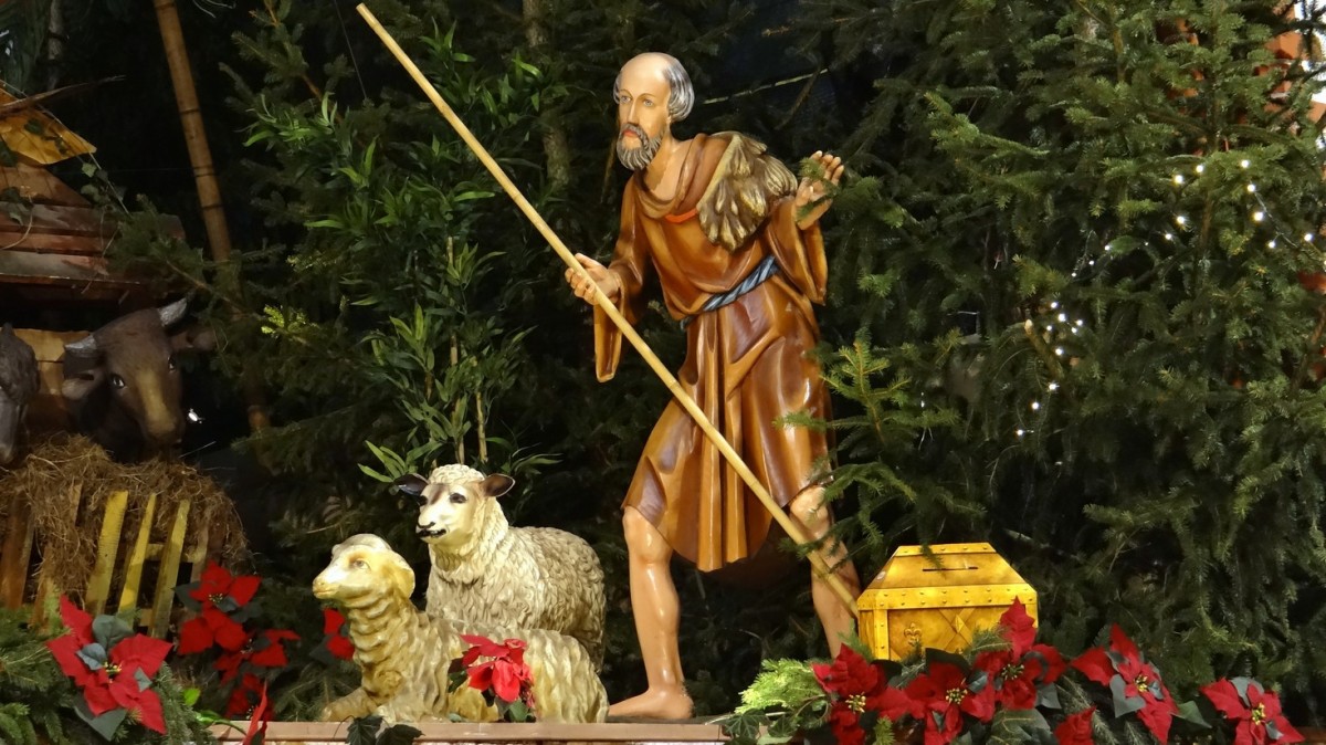 Zdjęcia: Wrocław, dolnośląskie, Pastuszek, POLSKA Zdjęcia: Wrocław, dolnośląskie, Pastuszek, POLSKA