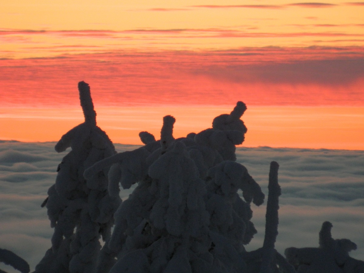 Zdjęcia: śnieżnik, karkonosze, kolory zachodu, POLSKA Zdjęcia: śnieżnik, karkonosze, kolory zachodu, POLSKA