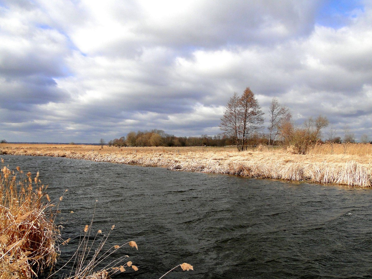 Zdjęcia: Waniewo, Podlasie, Przedwiośnie nad Narwią., POLSKA Zdjęcia: Waniewo, Podlasie, Przedwiośnie nad Narwią., POLSKA