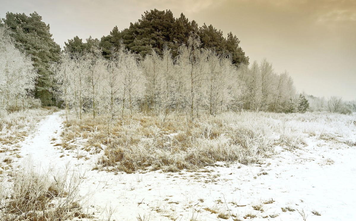Zdjęcia: Dolina Brdy, Bory Tucholskie, Szadź, POLSKA Zdjęcia: Dolina Brdy, Bory Tucholskie, Szadź, POLSKA