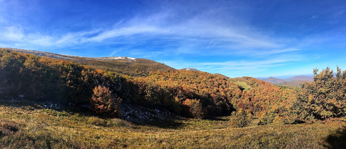 Zdjęcia: Ustrzyki Górne, Bieszczady, Bieszczady 2016, POLSKA Zdjęcia: Ustrzyki Górne, Bieszczady, Bieszczady 2016, POLSKA