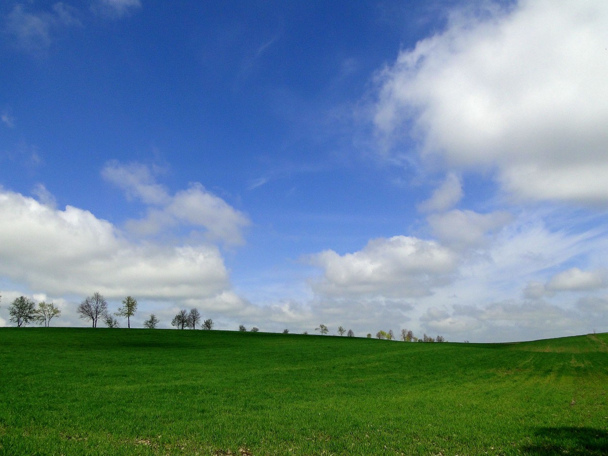 Zdjęcia: gdzieś na Podlasiu, Podlasie, Z serii: obrazki z Podlasia, POLSKA Zdjęcia: gdzieś na Podlasiu, Podlasie, Z serii: obrazki z Podlasia, POLSKA