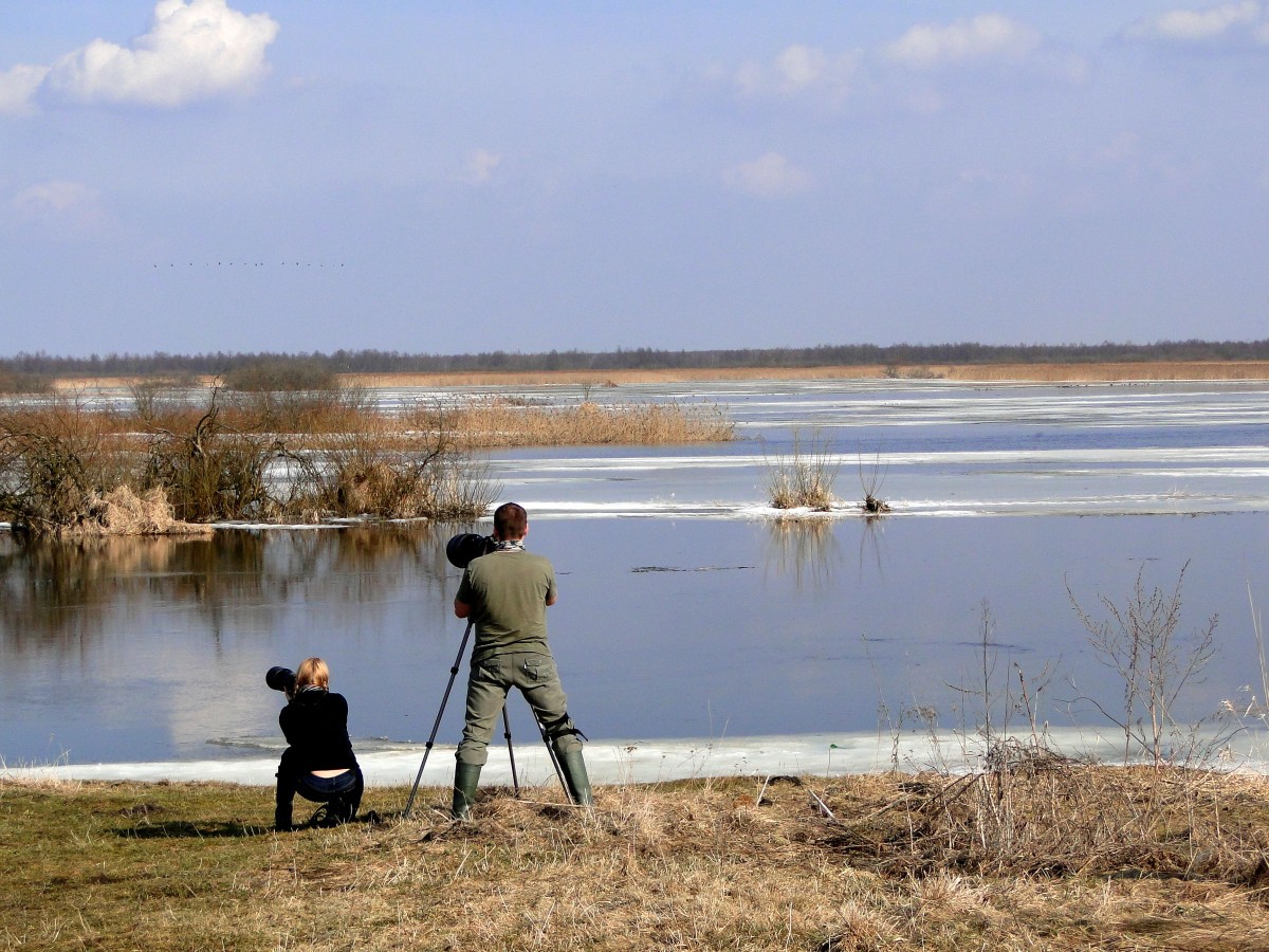 Zdjęcia: Burzyn nad Biebrzą, Podlasie, Z serii: obrazki z Podlasia, POLSKA Zdjęcia: Burzyn nad Biebrzą, Podlasie, Z serii: obrazki z Podlasia, POLSKA