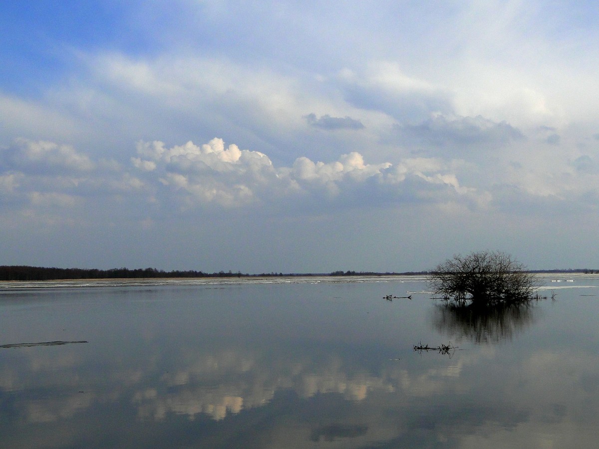 Zdjęcia: gdzieś nad Biebrzą., Podlasie, Z serii: obrazki z Podlasia, POLSKA Zdjęcia: gdzieś nad Biebrzą., Podlasie, Z serii: obrazki z Podlasia, POLSKA