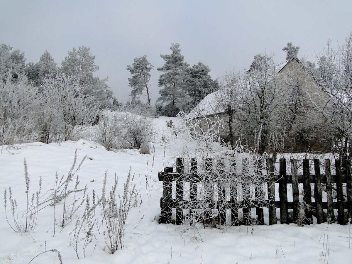 Zdjęcia: Łazy Duże, Podlasie, Z serii: obrazki z Podlasia, POLSKA Zdjęcia: Łazy Duże, Podlasie, Z serii: obrazki z Podlasia, POLSKA
