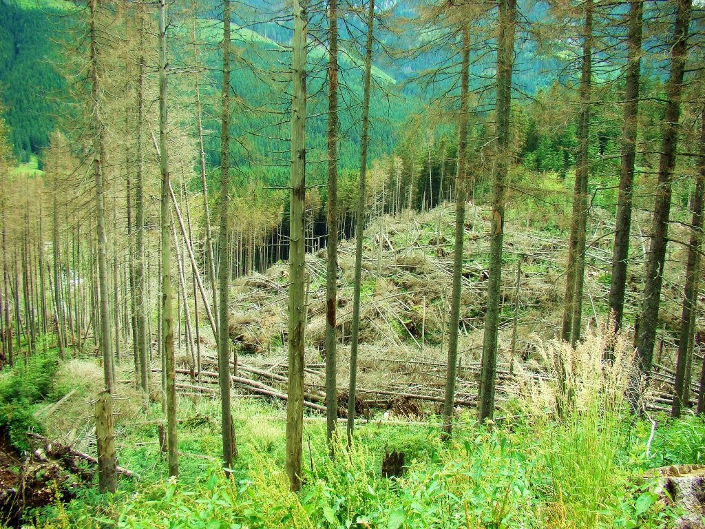 Zdjęcia: Tatry, województwo małopolskie, Przeszedł halny, POLSKA Zdjęcia: Tatry, województwo małopolskie, Przeszedł halny, POLSKA