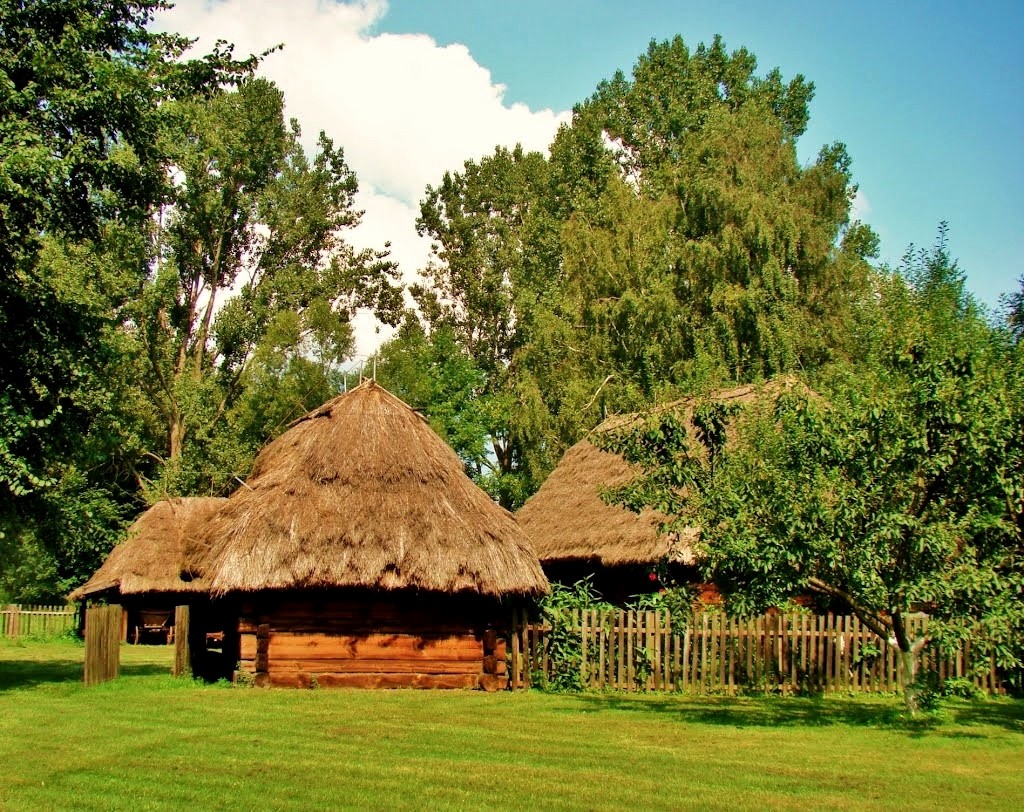 Zdjęcia: Sieradz, województwo łódzkie, Skansen w Sieradzu, POLSKA Zdjęcia: Sieradz, województwo łódzkie, Skansen w Sieradzu, POLSKA