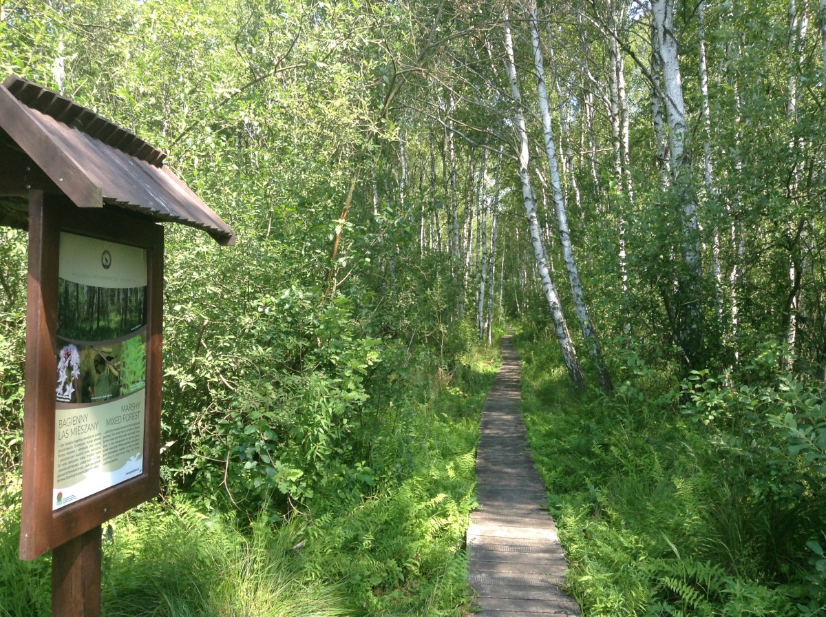 Zdjęcia: PPN, Lubelszczyzna, Poleski Park Narodowy., POLSKA Zdjęcia: PPN, Lubelszczyzna, Poleski Park Narodowy., POLSKA