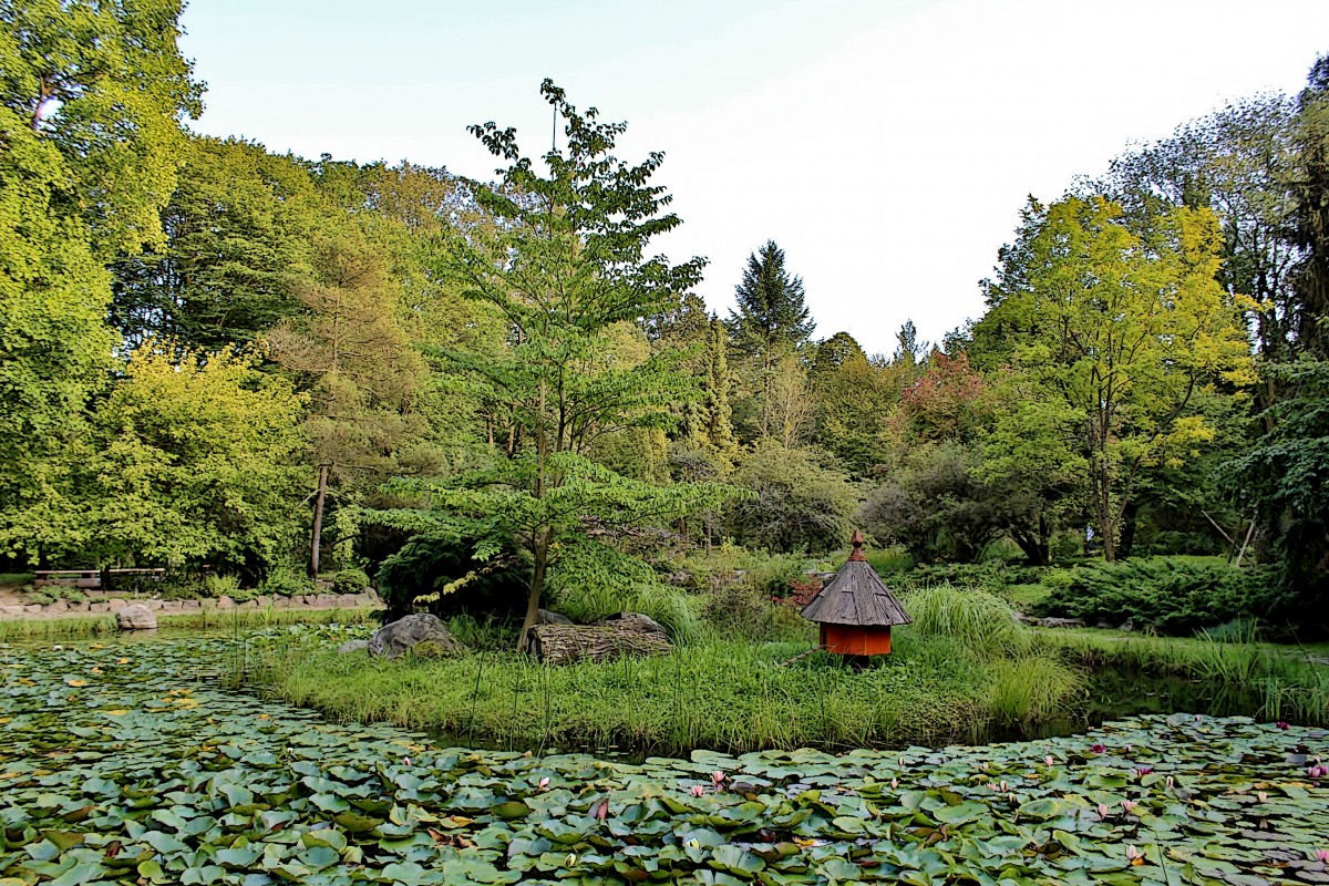 Zdjęcia: Rogów, województwo łódzkie, Arboretum w Rogowie, POLSKA Zdjęcia: Rogów, województwo łódzkie, Arboretum w Rogowie, POLSKA