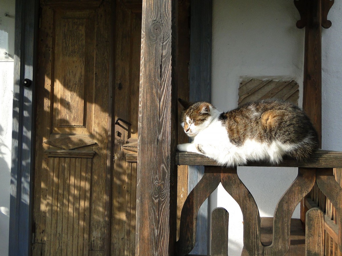 Zdjęcia: Tykocin, Podlasie, Niedziela w Tykocinie., POLSKA Zdjęcia: Tykocin, Podlasie, Niedziela w Tykocinie., POLSKA