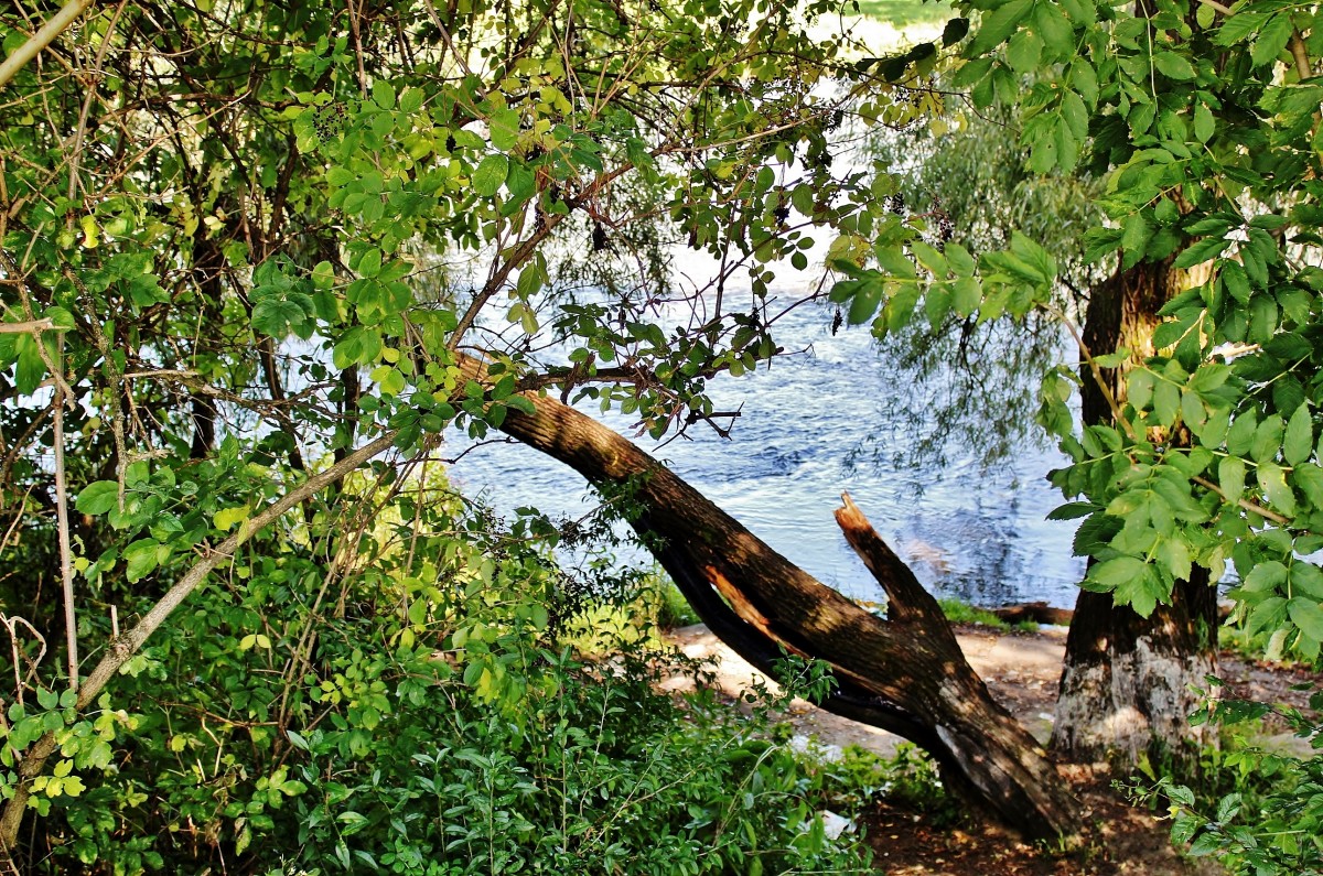 Zdjęcia: Sanok, województwo podkarpackie, Nad Sanem, POLSKA Zdjęcia: Sanok, województwo podkarpackie, Nad Sanem, POLSKA