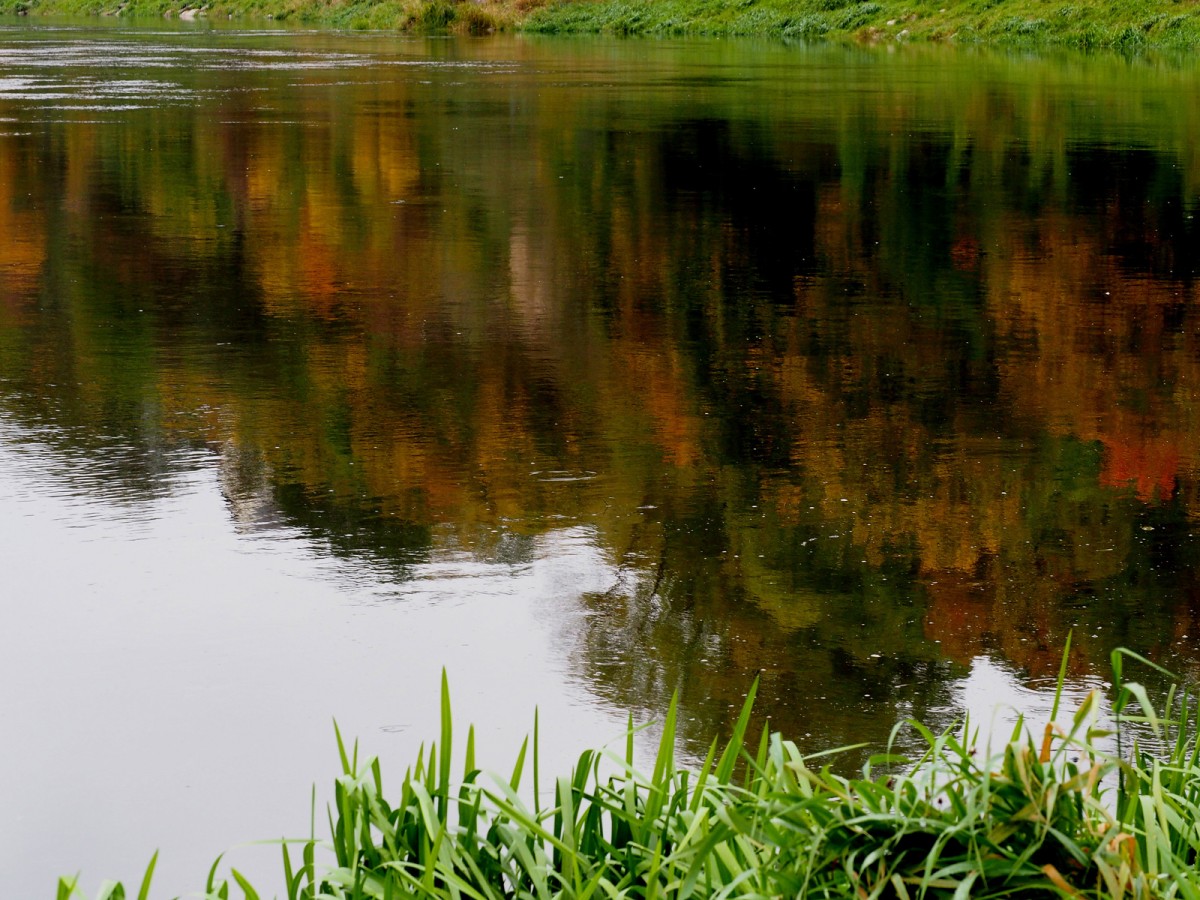 Zdjęcia: Drohiczyn, Podlasie, Jesienne odbicie, POLSKA Zdjęcia: Drohiczyn, Podlasie, Jesienne odbicie, POLSKA