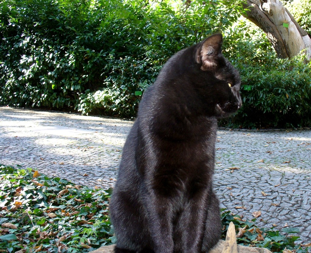 Zdjęcia: Wrocław, dolnośląskie, Przebudzenie, POLSKA Zdjęcia: Wrocław, dolnośląskie, Przebudzenie, POLSKA