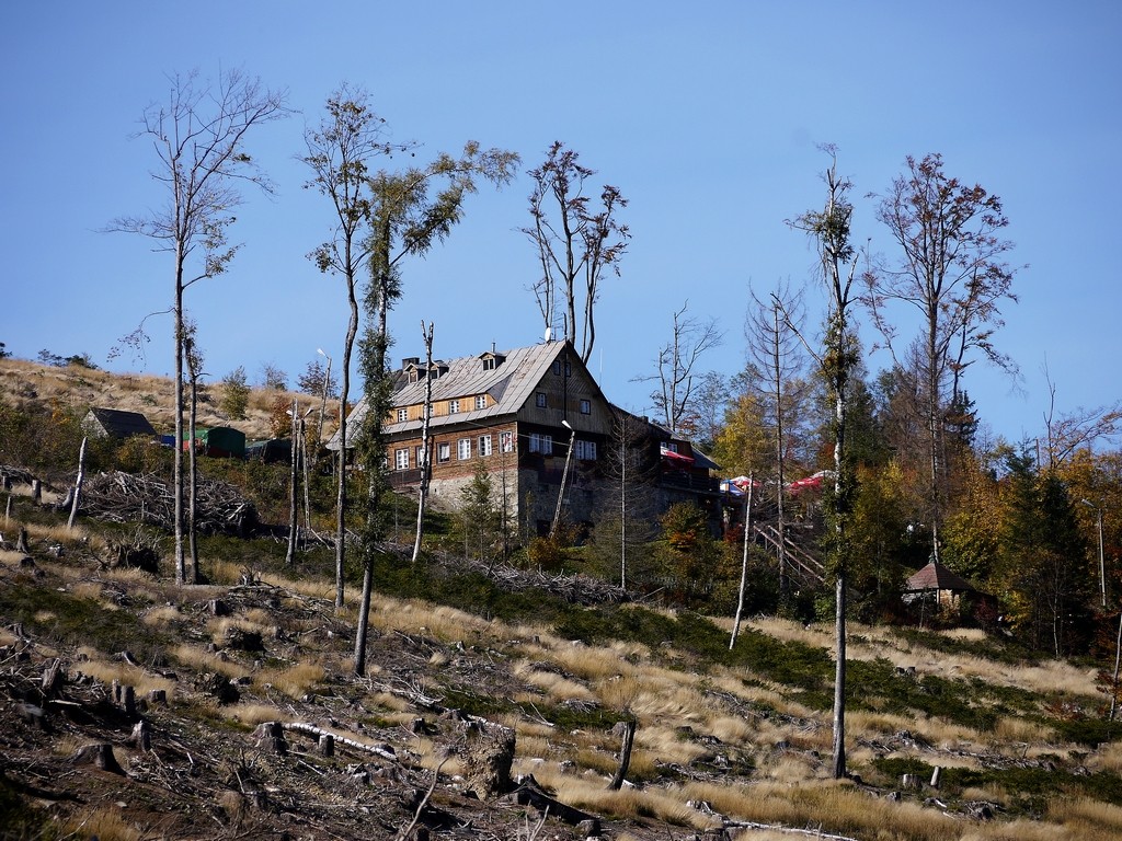 Zdjęcia: Jarnołtówek, opolskie, Schronisko pod Biskupią Kopą, POLSKA Zdjęcia: Jarnołtówek, opolskie, Schronisko pod Biskupią Kopą, POLSKA