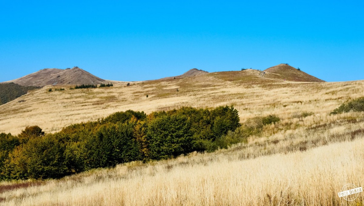 Zdjęcia: Bieszczady, Podkarpacie, Połonina Wetlińska, POLSKA Zdjęcia: Bieszczady, Podkarpacie, Połonina Wetlińska, POLSKA