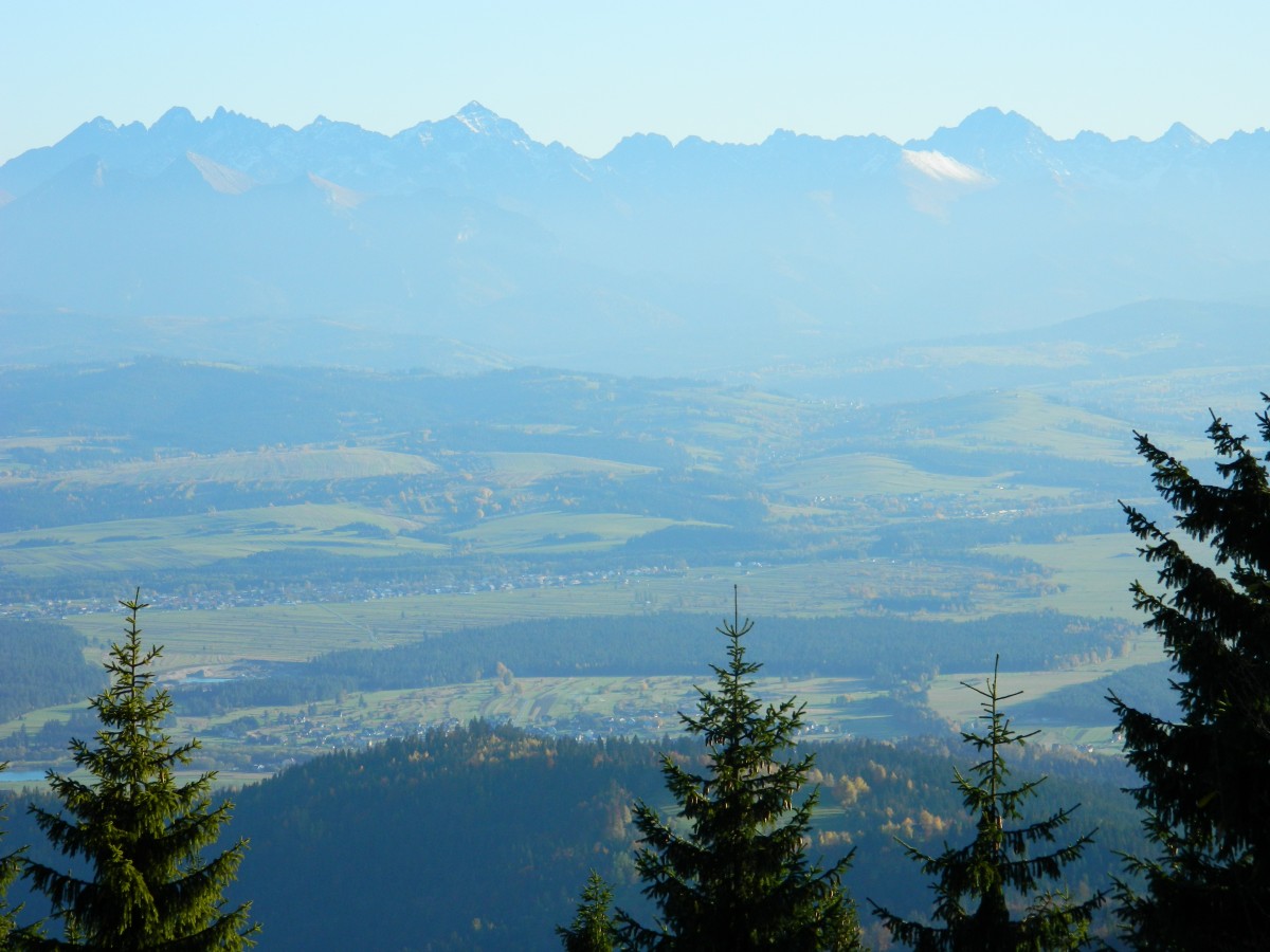 Zdjęcia: gdzieś na szlaku, Gorce, Tatry z Gorc, POLSKA Zdjęcia: gdzieś na szlaku, Gorce, Tatry z Gorc, POLSKA