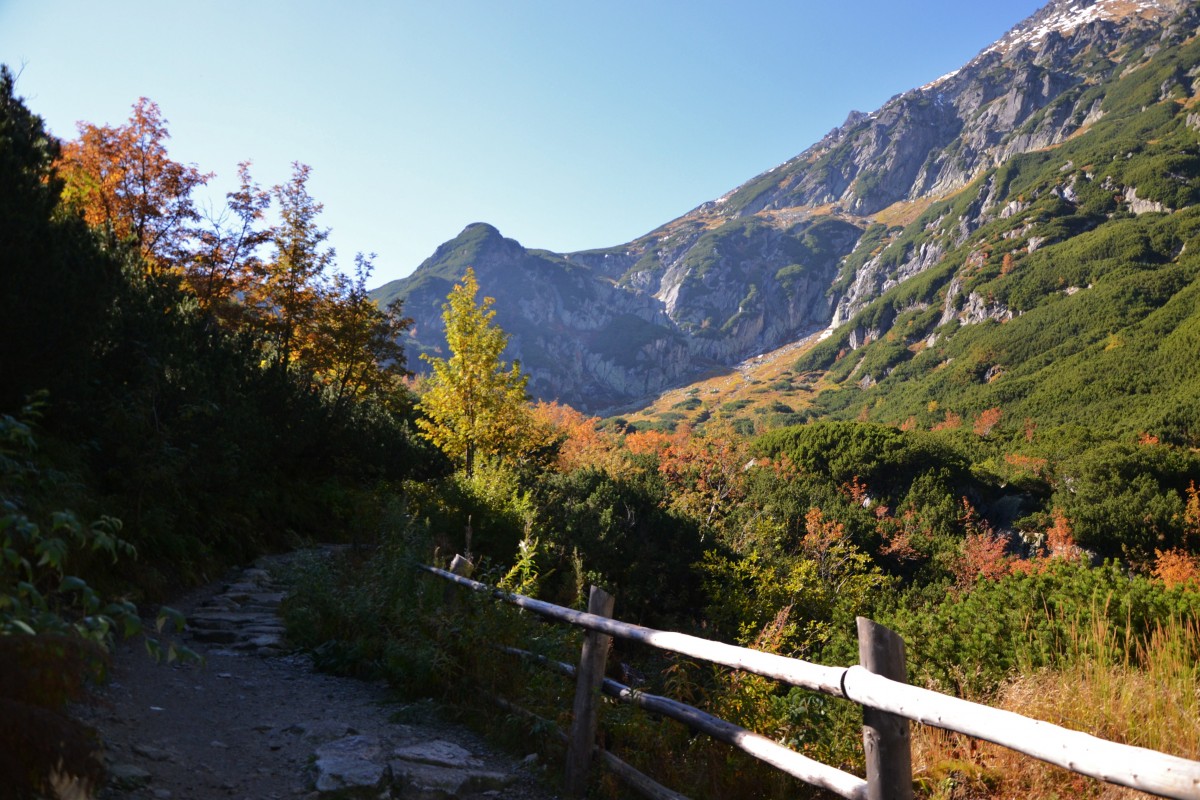 Zdjęcia: Dolina Roztoki, Tatry Wysokie, Tatrzańska jesień, POLSKA Zdjęcia: Dolina Roztoki, Tatry Wysokie, Tatrzańska jesień, POLSKA