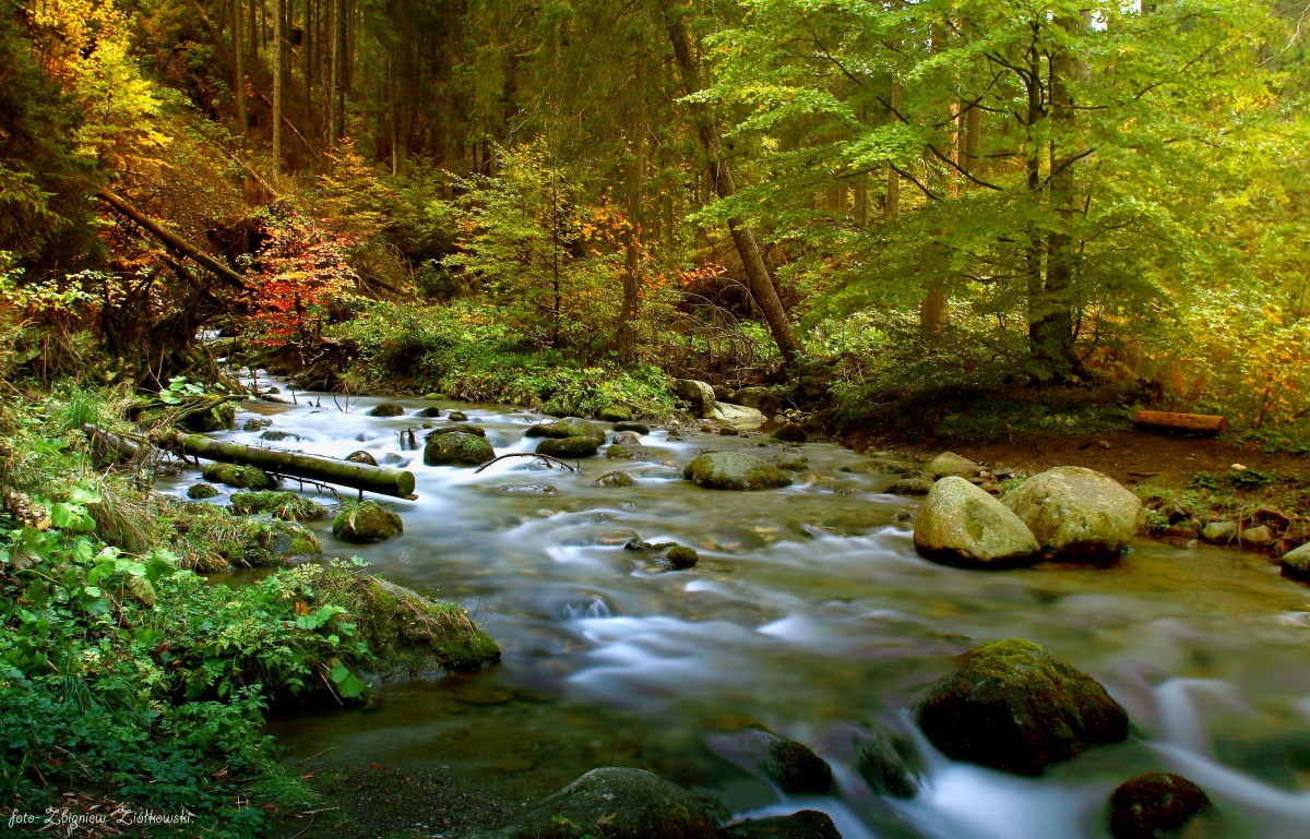 Zdjęcia: Tatrzański Park Narodowy, Zakopane, Jesień w Tatrach , POLSKA Zdjęcia: Tatrzański Park Narodowy, Zakopane, Jesień w Tatrach , POLSKA