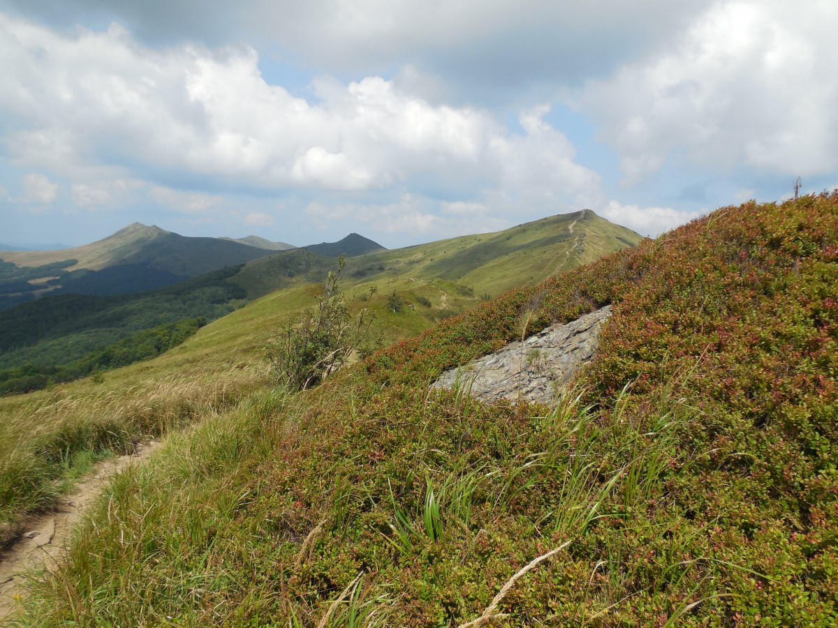 Zdjęcia: W drodze z Halicza na Tarnicę, Bieszczady, Sierpniowe Bieszczady, POLSKA Zdjęcia: W drodze z Halicza na Tarnicę, Bieszczady, Sierpniowe Bieszczady, POLSKA