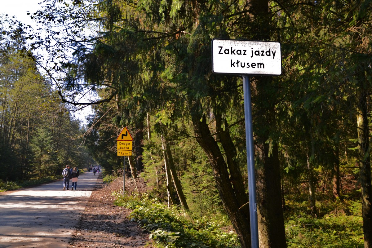 Zdjęcia: Palenica Białczańska, Tatry Wysokie, Gdy kłusem nie można, to fantazja cierpi, POLSKA Zdjęcia: Palenica Białczańska, Tatry Wysokie, Gdy kłusem nie można, to fantazja cierpi, POLSKA