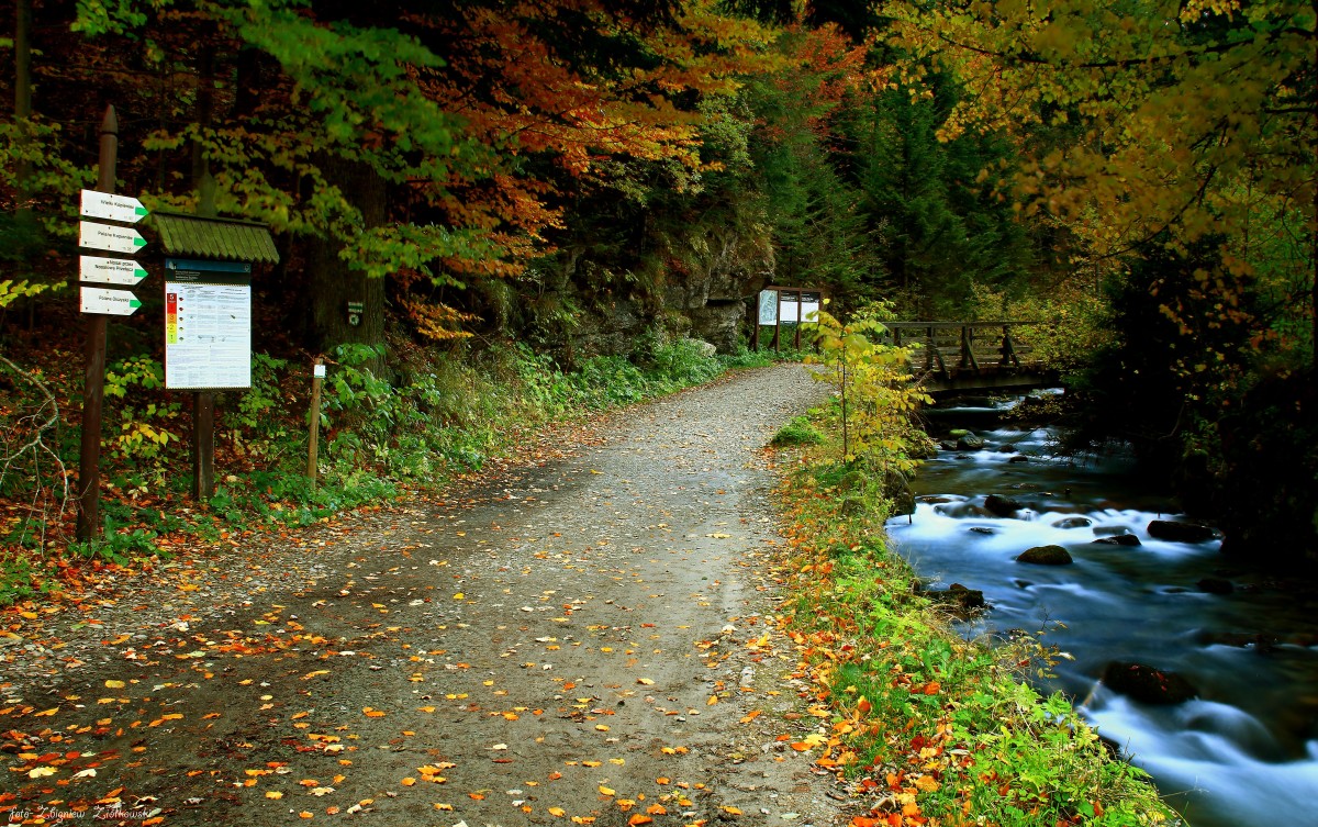 Zdjęcia: Jaszczurówka, Zakopane, W drogę, POLSKA Zdjęcia: Jaszczurówka, Zakopane, W drogę, POLSKA