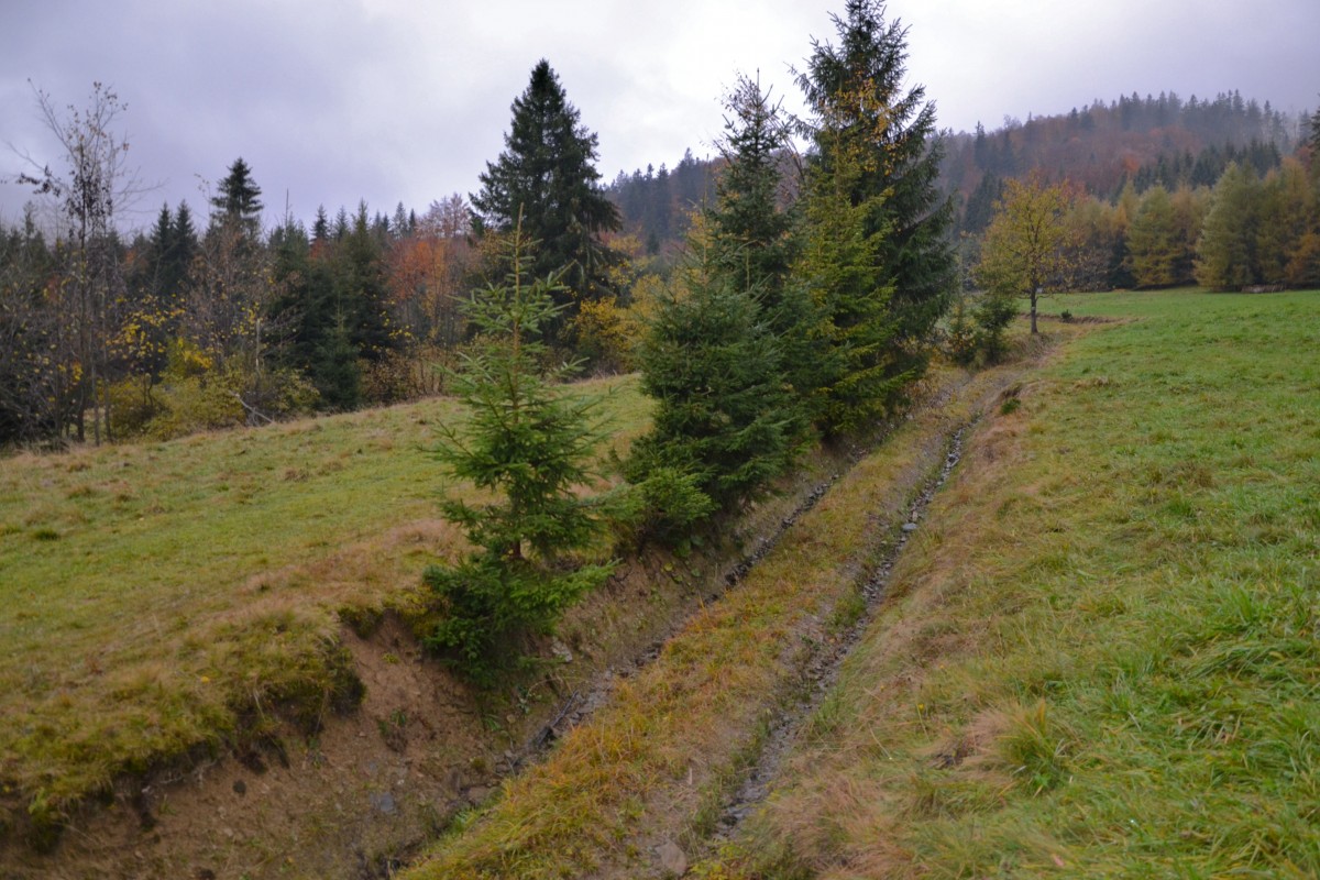 Zdjęcia: Przysłop, Beskid Żywiecki, Beskidzka jesień, POLSKA Zdjęcia: Przysłop, Beskid Żywiecki, Beskidzka jesień, POLSKA