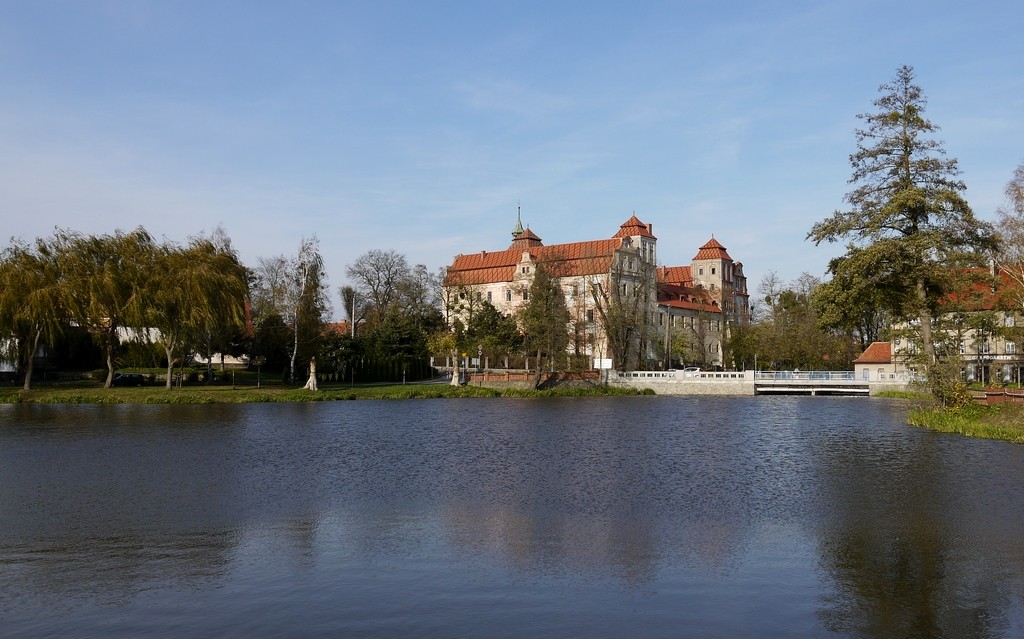 Zdjęcia: Niemodlin, opolskie, Zamek nad stawem zamkowym, POLSKA Zdjęcia: Niemodlin, opolskie, Zamek nad stawem zamkowym, POLSKA