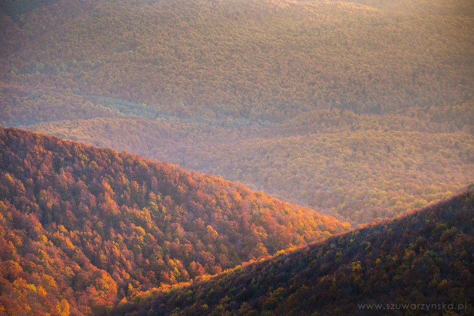 Zdjęcia: Wielka Rawka, Bieszczady, Puszcza Karpacka, POLSKA Zdjęcia: Wielka Rawka, Bieszczady, Puszcza Karpacka, POLSKA