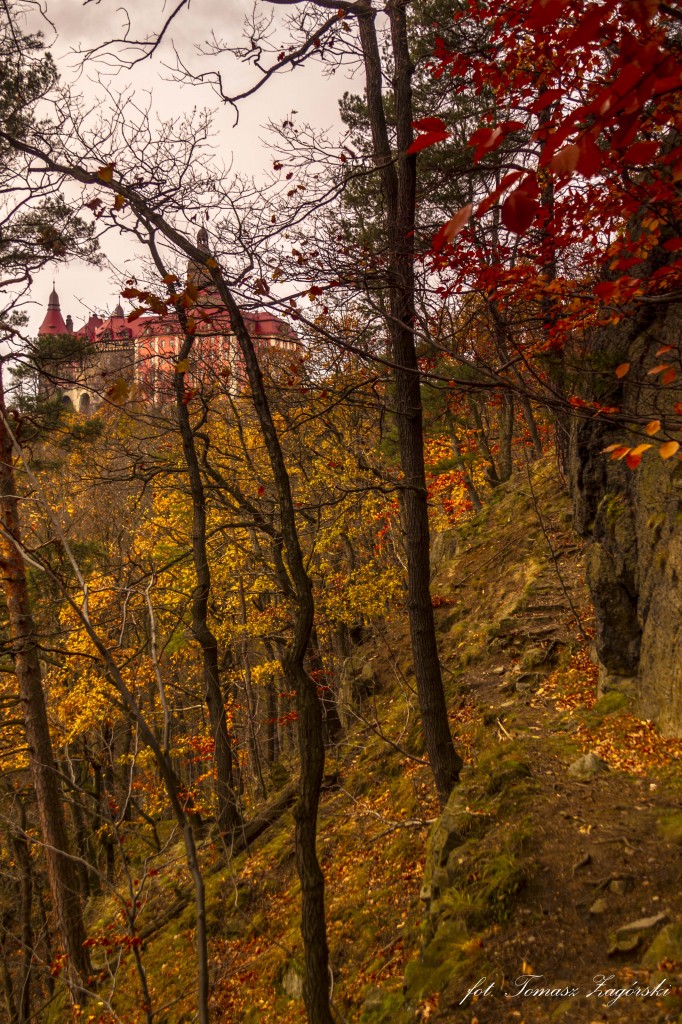 Zdjęcia: Przełomy Pod Książem, Sudety Środkowe, Ścieżka nad urwiskiem, POLSKA Zdjęcia: Przełomy Pod Książem, Sudety Środkowe, Ścieżka nad urwiskiem, POLSKA