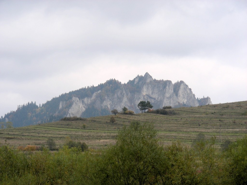 Zdjęcia: Dunajec, małoposka, Góry nad Dunajcem, POLSKA Zdjęcia: Dunajec, małoposka, Góry nad Dunajcem, POLSKA
