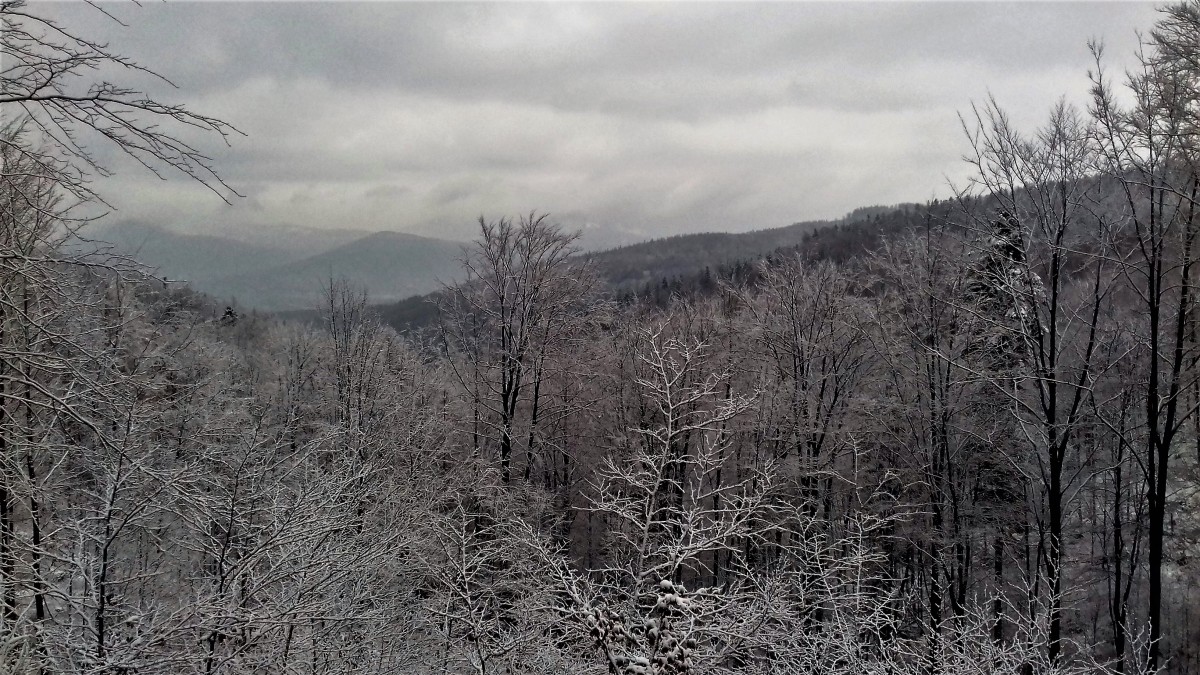 Zdjęcia: Szyndzielnia, Beskid Śląski, pierwszy śnieg, POLSKA Zdjęcia: Szyndzielnia, Beskid Śląski, pierwszy śnieg, POLSKA